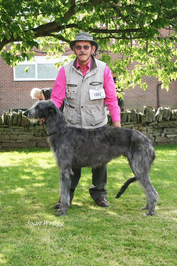 Best Puppy & Best puppy Bitch Houndshow 2012